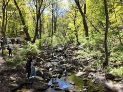 -香炉山国家森林公园