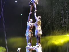-灵玲国际马戏城