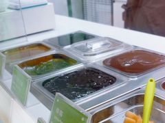 -Salud撒露欧洲冻酸奶(蓝色港湾店)