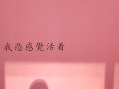 -藏猫猫咖啡主题馆(中央大道店)