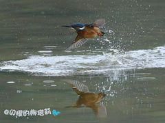 -南国桃园旅游度假区