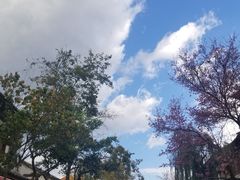 -飘香酒馆·私房菜