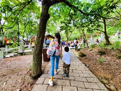 -灵岩山风景区