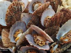 -宾朋海鲜美食特色餐厅·纯手工鲅鱼水饺(兴海路店)