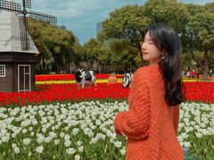 -大宁郁金香公园-停车场