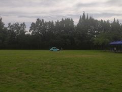 -金谷域澳洲庄园