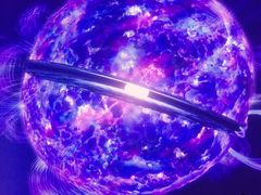 -东方饺子王(新奥购物中心店)