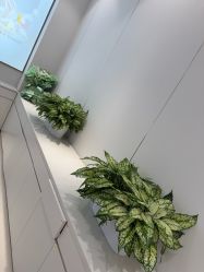 -禾丽康美医疗美容医院