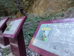 -北京上方山国家森林公园