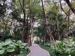 -深圳湾公园(南山区)