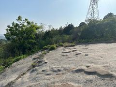 -白水寺森林公园