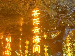 -万泉公园
