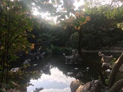 -叶家花园