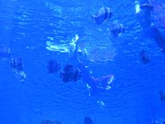 -石家庄极地海洋世界