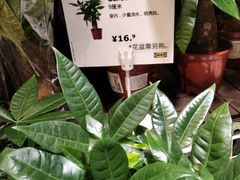 -IKEA宜家家居(南京商场)
