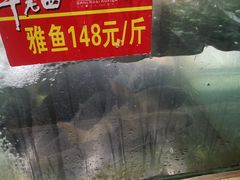 -干老四雅鱼饭店(滨江西路店)