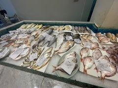 -魚當家