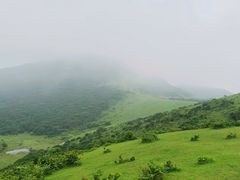 -大姆山草场