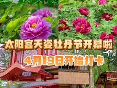 -太阳宫公园