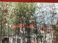 -向外鱼乐·土菜·虹鳟鱼