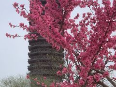 -西海子公园