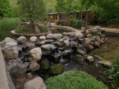 -白水寺森林公园