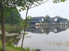 -白鹭湾湿地公园