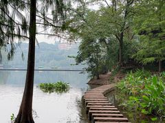 -重庆彩云湖湿地公园