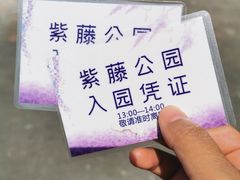 -嘉定紫藤园