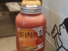 多肉桃李-喜茶(东莞雍华庭店)