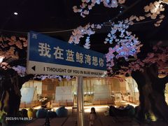 -蓝鲸湾汤泉(包河店)