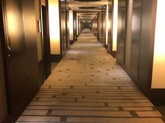 -北京首都机场希尔顿酒店