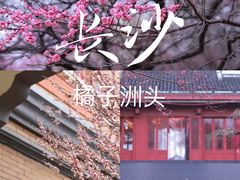 -橘子洲景区