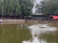 -尚庄度假村·庭台树下·户外烧烤·团建CS·轰趴营地(上庄水库店)