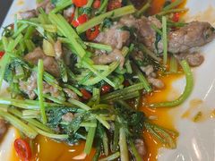 -呼吸森林·生态农庄农家乐私房菜