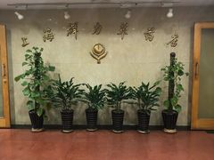 -上海群力中医门诊部(上海群力草药店)