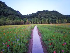 -贵阳市花溪国家城市湿地公园