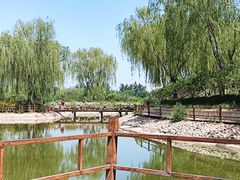 -燕郊植物园