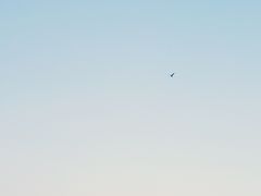-上海山野camping·户外天幕烧烤·团建拓展营地