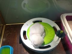 -乐宠宠物店(世纪金源店)