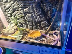-海合安青岛极地海洋公园