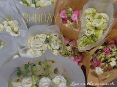 -循礼门鲜花花市(武汉循礼门店)