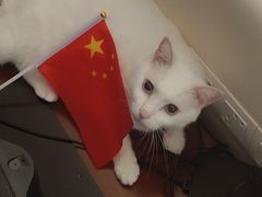-叁樓·勝记
