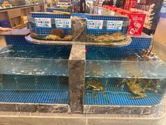 -骏莱海鲜鱼港(五角场店)