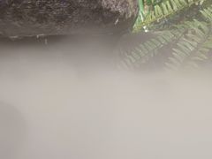 -鲜丰水果(重庆天和路店)