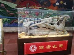 -诸城市恐龙博物馆