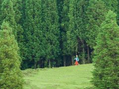 -乌蒙大草原