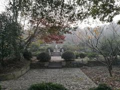 -雨花胜境