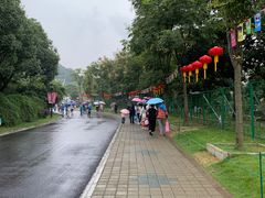 -无锡动物园·太湖欢乐园