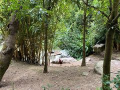 -黔灵山公园